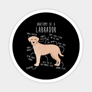 Yellow Labrador Retriever Dog Anatomy Magnet